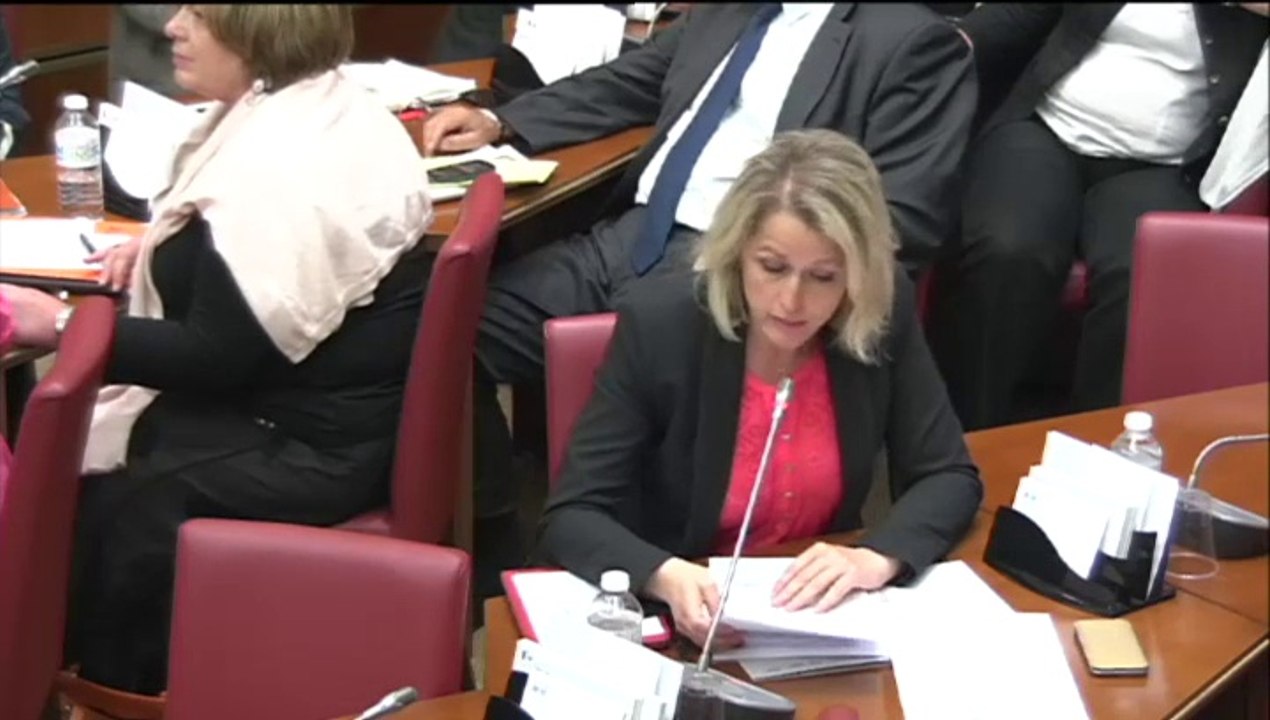 Nomination à la présidence de France Télévisions - audition du CSA