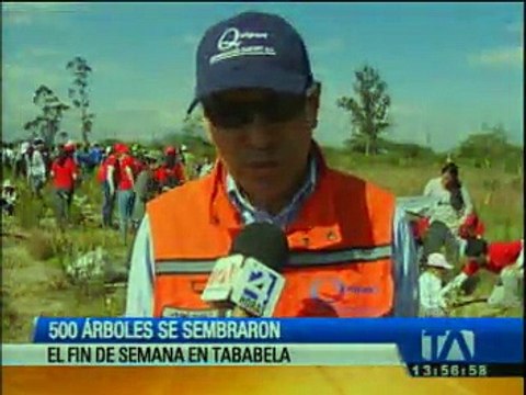 500 árboles fueron sembrados en Tababela