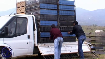 Bursa Posta 2011 Yakacık Kart Yarışı