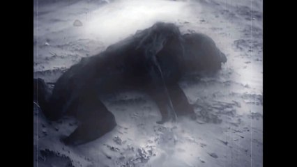 Mutant Experiment or Alien Body Found Dead on a Plum Island Beach (1959 Footage)