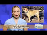 Funny Pet News #2 Dog Viagra, Illegal Monkey, Ostrich Libido