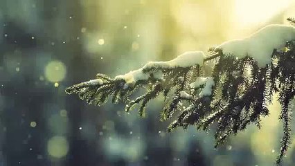 Have Yourself a Merry Little Christmas — Wells Cathedral Choir