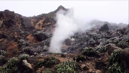 Fumerolle au sommet de la Soufrière - Guadeloupe, avril 2015