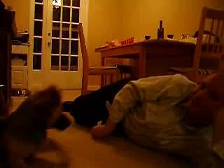 Becks Puppy Pounce