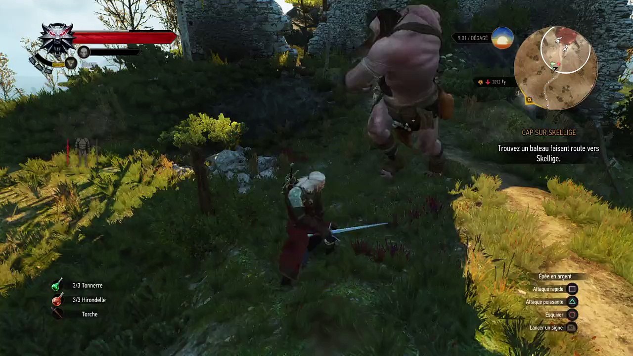 The Witcher 3: Cyclope