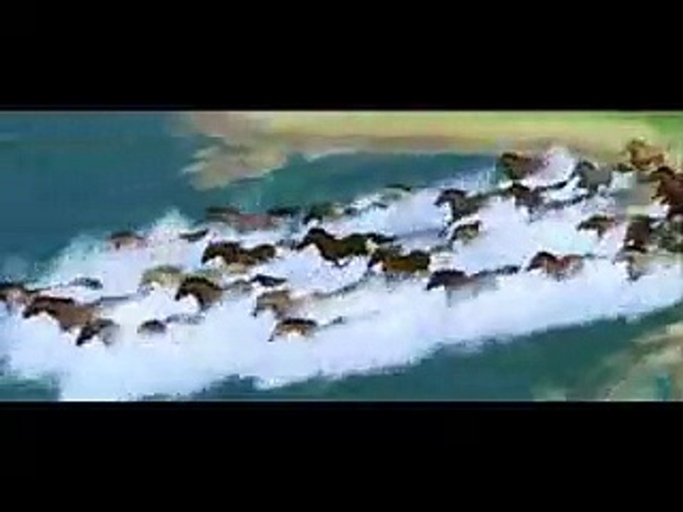 Spirit stallion of the cimarron (wild horses)