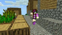 MineCraft Animation - Rufus meets a girl.
