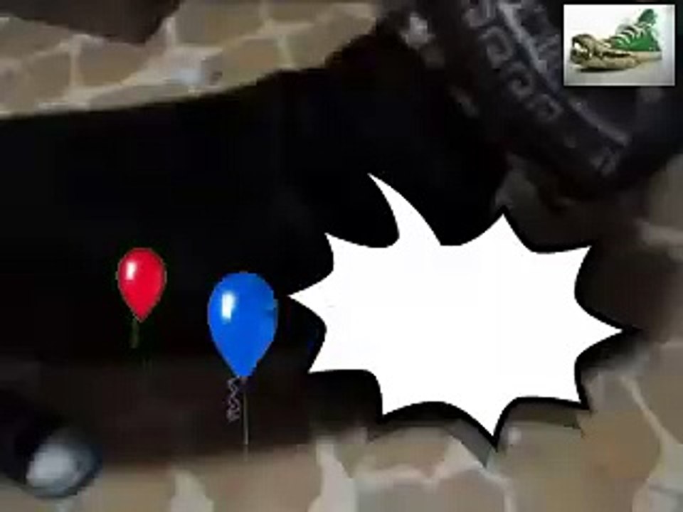 perro con zapatos