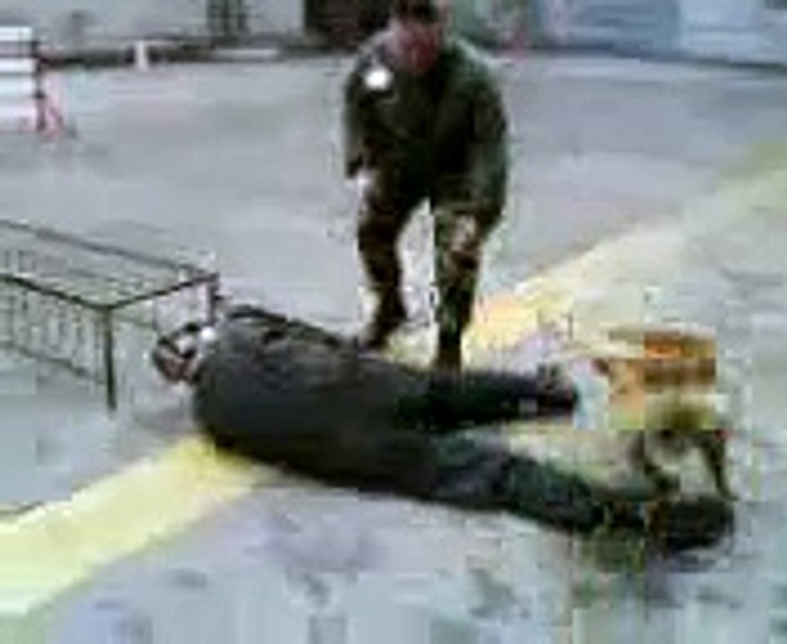 Maîtres chiens de la BA 102