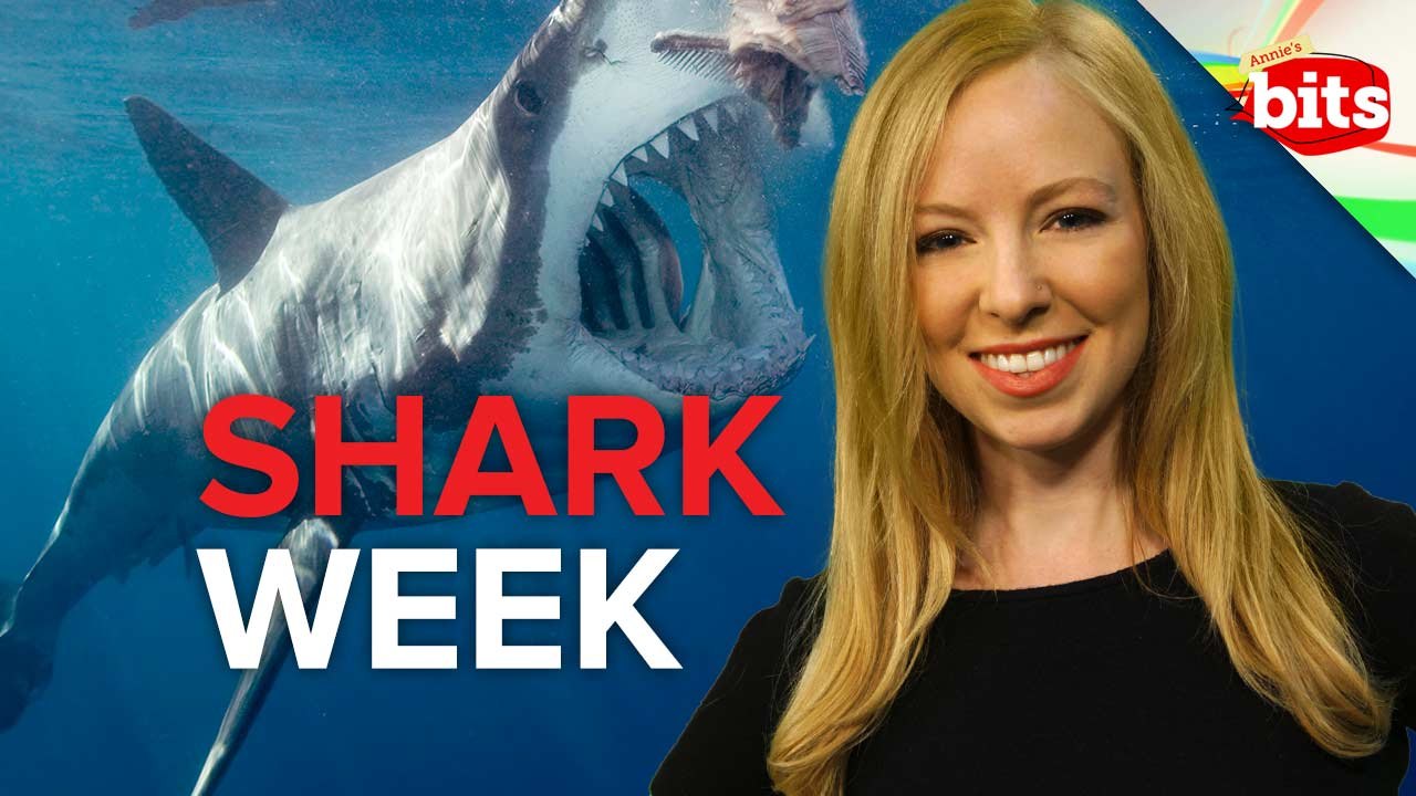 Shark Week Madness 2013, Twisted Sisters, and the Hillbilly Slide