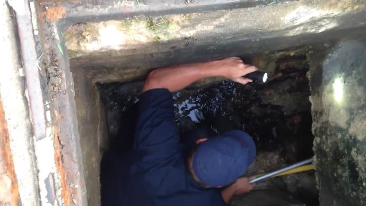 Feuerwehrmann rettet entenküken mit iphone-klingelton