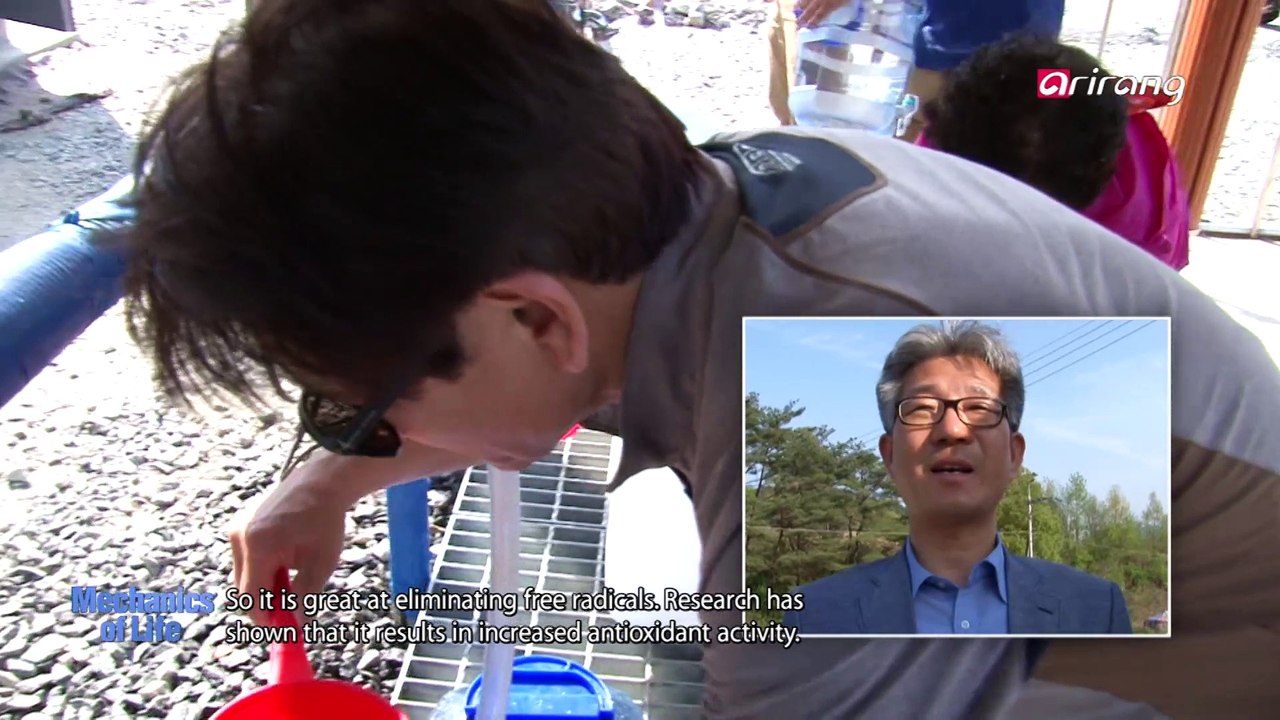 Mechanics of Life Ep6