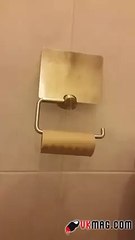 Ce qu'il fait dans ses Toilettes est Bluffant