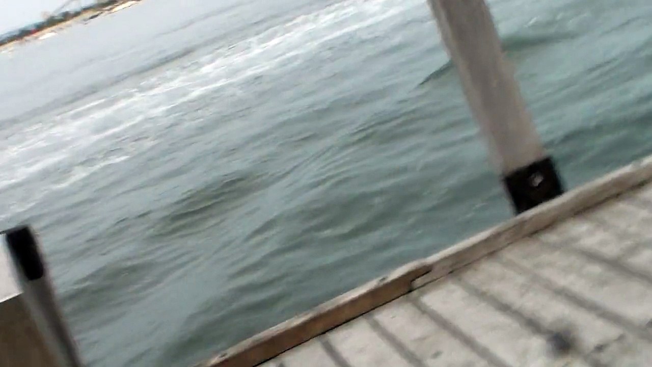 Solid Private Jetty Views