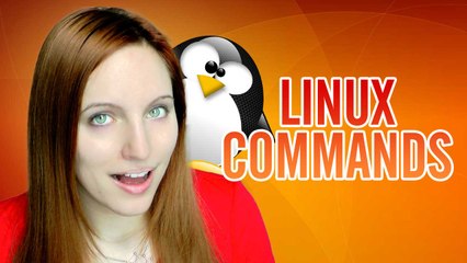 Command Linux 101: Wget - Get ALL THE THINGS!