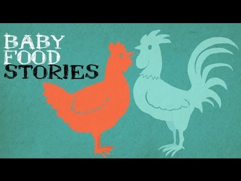 Oeuf de poule : pourquoi le jaune ne se transforme-t-il pas en poussin ?...