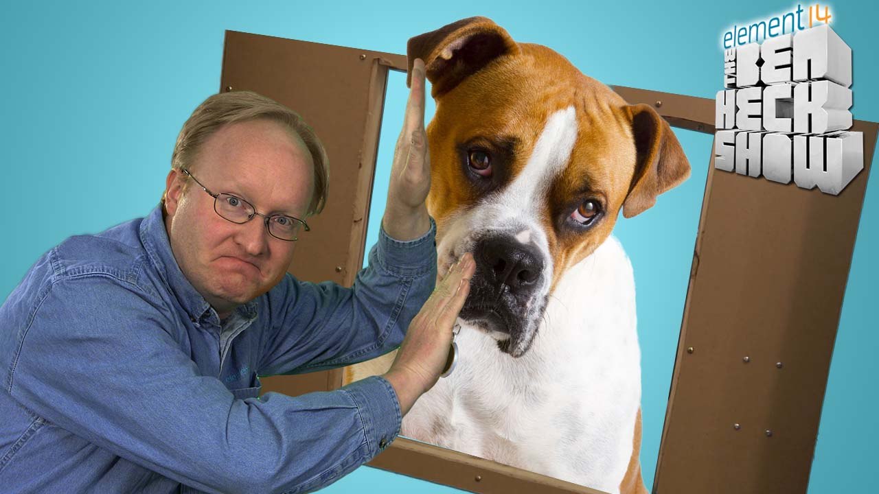 Ben Let the Dogs Out: Electronic Door Build - Part 2