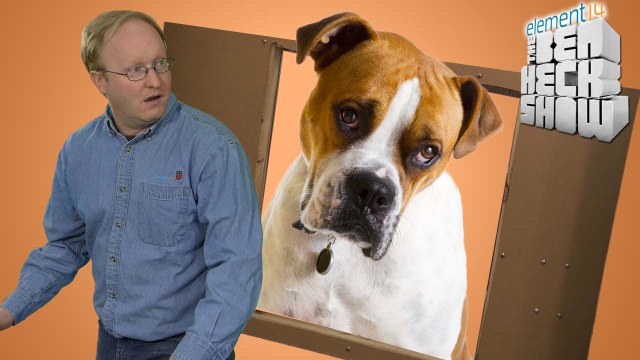 Ben Let the Dogs Out: Electronic Door Build - part 1