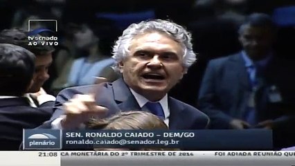 Reforma Política: ninguém sabe que bicho vai dar