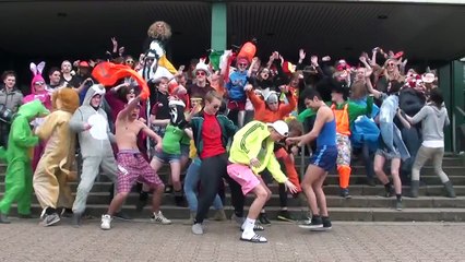 HARLEM SHAKE ORIGINAL - JSG