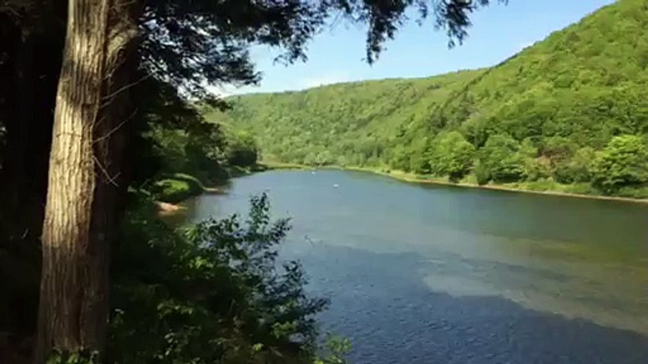 Want to buy Delaware River View Home in Callicoon NY?