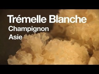 T'as déjà goûté ? Un champignon géant : trémelle blanche
