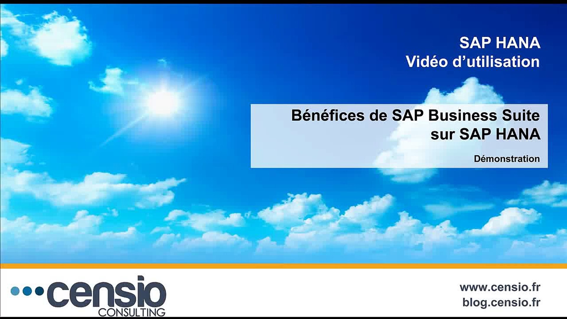 Demo Sap Simple Finance Suite On Hana Soh Fr Video Dailymotion