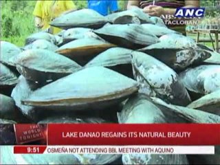 WATCH: Island paradise in Leyte