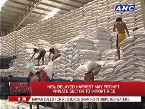 Authorities see delay in rice harvest due to lack of irrigation