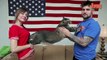 Catasaurus Rex: Meet Pickles The Three-foot Rescue Cat Who Weighs 21 Pounds