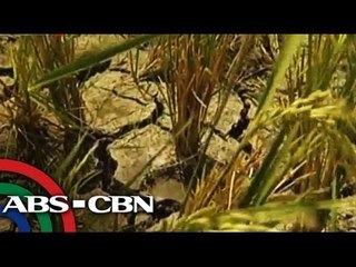 El Nino possible this year, JMA warns