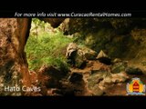 CuracaoRentalHomes presents 5 things to see on Curacao