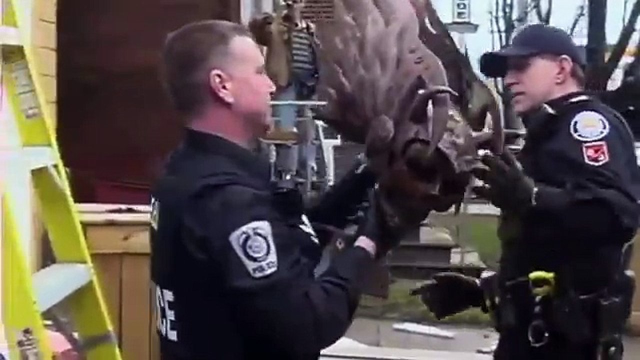 Police take down Hells Angels clubhouse with battering ram