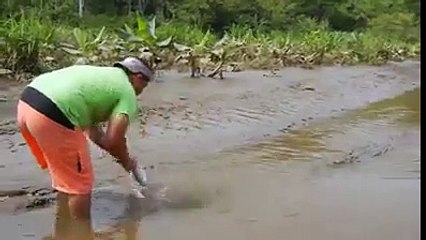 Amazing Grayz Guy feeding a crocodile like a dog