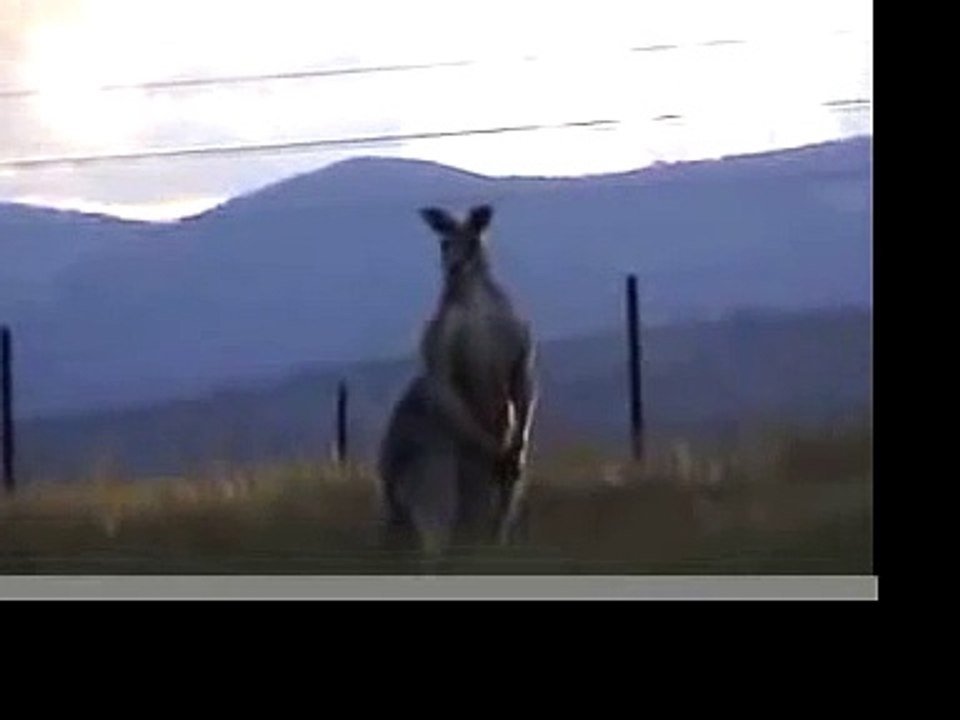 australia