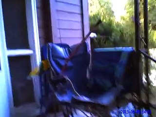 Body Camera Captures Suicide by Cop Shooting