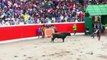 Horrifying footage shows bulls goring terrified spectators after escaping from ring and ploughing i
