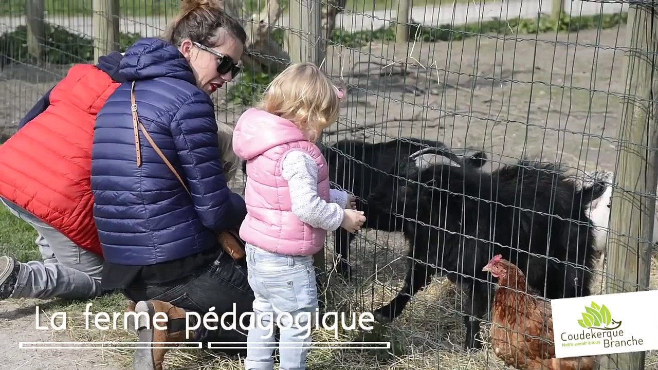La ferme Vernaelde