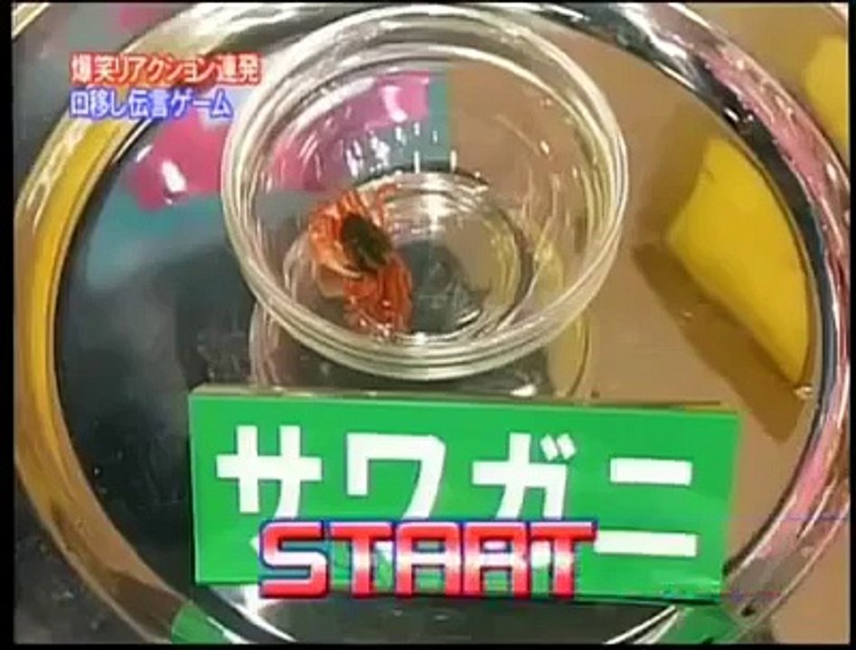 Jeu WTF Japon : echange de bestiole à la bouche par equipe