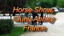 Horse Show, Haras, Cluny Abbey, France
