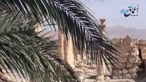 Antik Palmira kenti şimdilik zarar görmedi