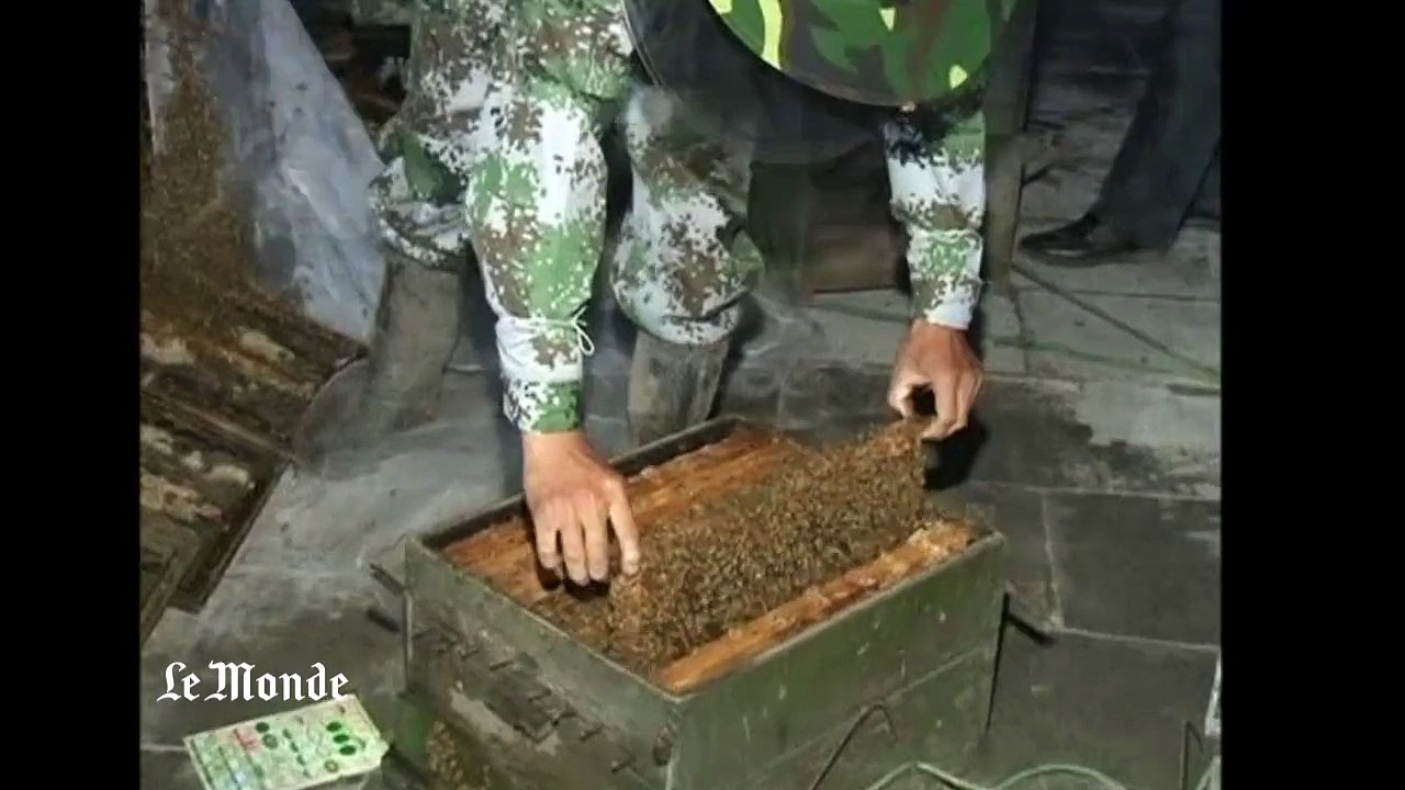 L’homme qui couvrait son corps de centaines de milliers d’abeilles