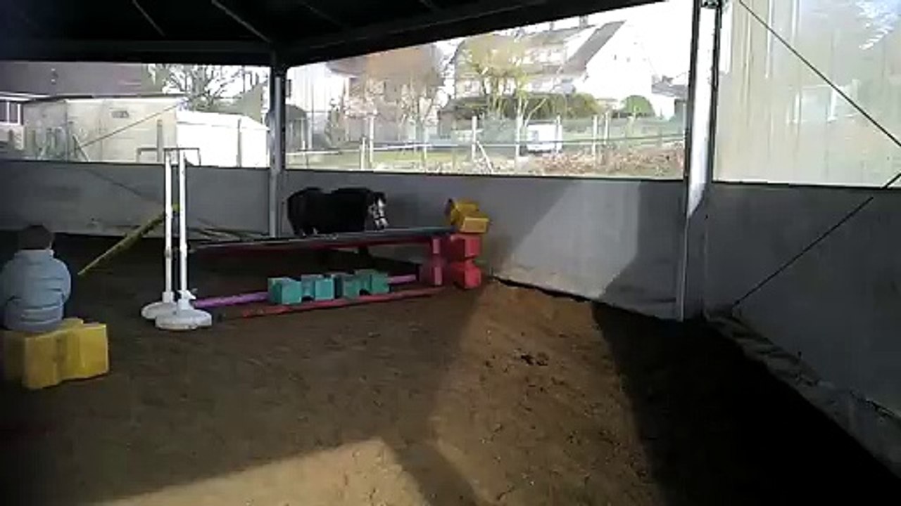Bleuette saut