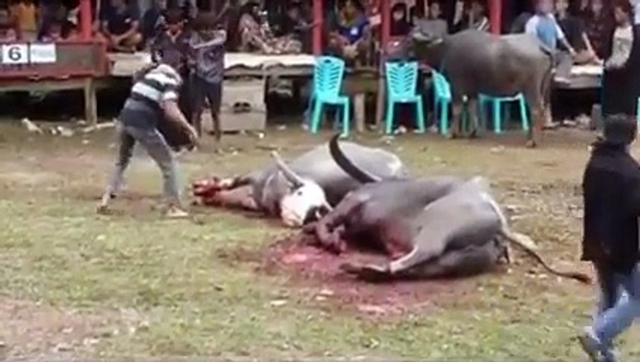 These Guys are brutal Slaughters- Sad