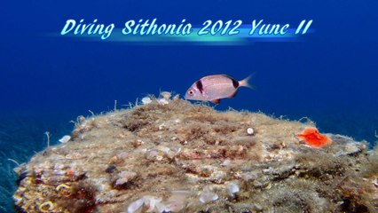 2012.06 Sithonia 3 + NIGHT