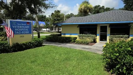 Vero Beach Veterinary Hospital -Short | Vero Beach, FL