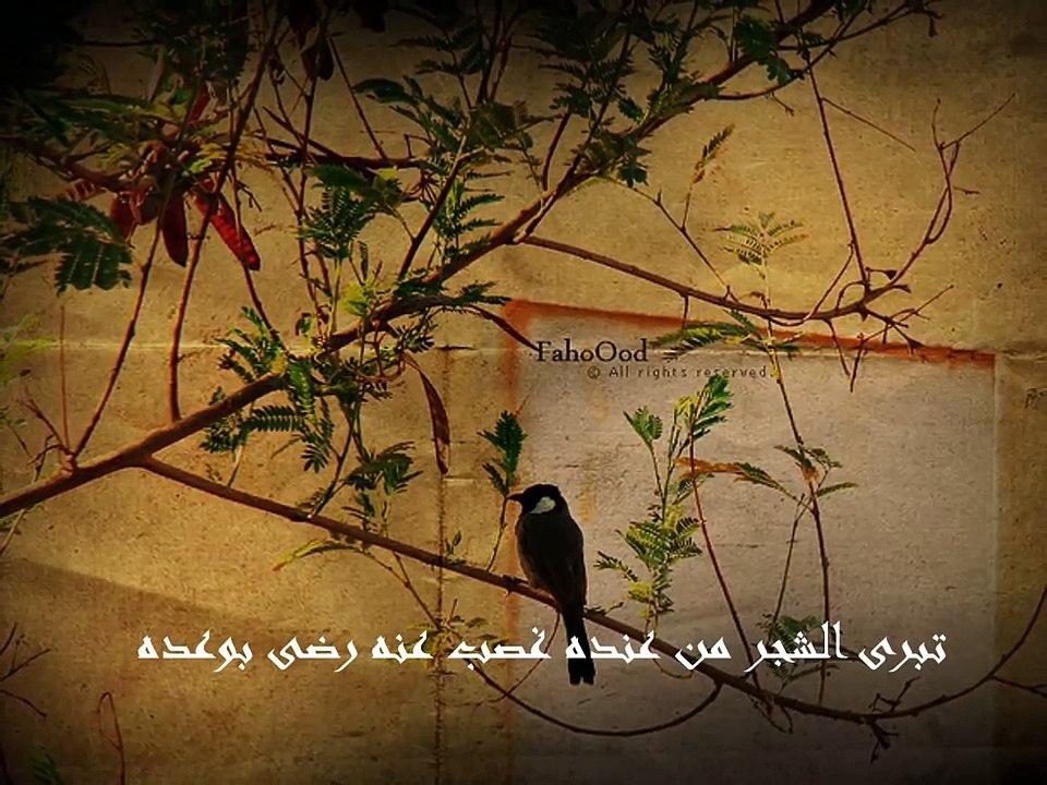 ‫اشوفك وين يا مهاجر حاتم العراقي