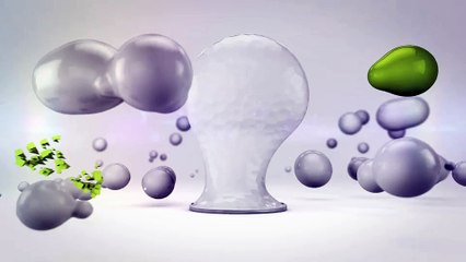 After Effects Project Files - Touch - VideoHive 10228895