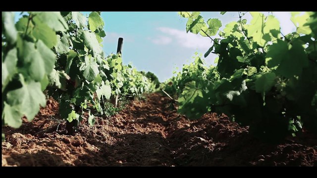 Championnats du Monde Juniors 2015 - Présentation