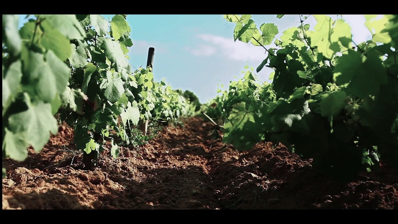 Championnats du Monde Juniors 2015 - Présentation